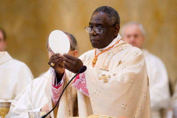 MORE AFRICAN VOICES ON CARDINAL SARAH xxx PLUS DE VOIX AFRICAINES SUR LE CARDINAL SARAH.