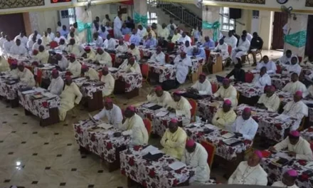 LES EVEQUES DU NIGERIA PRETS A TRAVAILLER POUR UN PAYS MEILLEUR — BISPOS DA NIGÉRIA PRONTOS PARA TRABALHAR POR UM PAÍS MELHOR — BISHOPS IN NIGERIA READY TO WORK FOR A BETTER COUNTRY