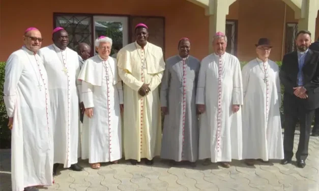 LES EVEQUES DU TCHAD PRENNENT UNE DECISION DRASTIQUE—- OS BISPOS DO CHADE TOMAM UMA ATITUDE DRÁSTICA—- BISHOPS IN CHAD TAKE A DRASTIC