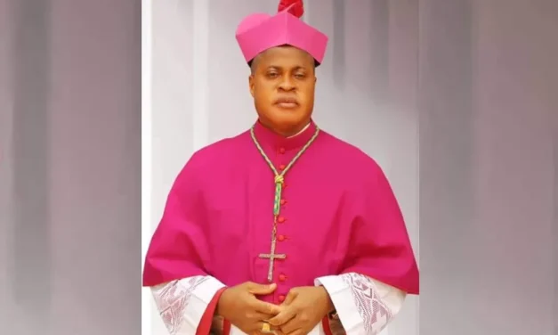 L&rsquo;ELEVATION DU CARDINAL OKPALEKE EST UNE BENEDICTION POUR L&rsquo;EGLISE AU NIGERIA —- A ELEVAÇÃO DO CARDEAL OKPALEKE SIGNIFICA UMA BÊNÇÃO PARA A IGREJA NA NIGÉRIA —- THE ELEVATION OF CARDINAL OKPALEKE SPELLS A BLESSING TO THE CHURCH IN NIGERIA