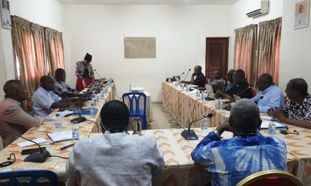 ANÁLISE DE PODER / PARTES INTERESSADAS — POUVOIR / ANALYSE DES PARTIES PRENANTES —   POWER / STAKEHOLDERS ANALYSIS