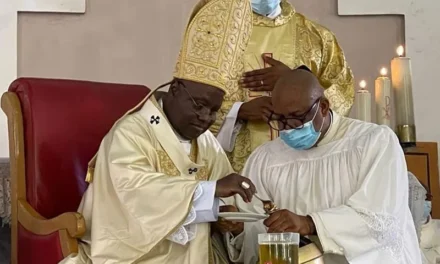 un archevêque catholique du Nigeria dénonce la maturité politique et démocratique insuffisante du pays — a Catholic archbishop of Nigeria denounces the country’s insufficient political and democratic maturity — um arcebispo católico da Nigéria denuncia a insuficiente maturidade política e democrática do país