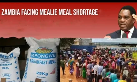 MEDIDAS TOMADAS CONTRA A ESCASSEZ DE MILHO NA ZÂMBIA — MESURES PRISES CONTRE LA PENURIE DE MAÏS EN ZAMBIE — MEASURES TAKEN AGAINST MAIZE SHORTAGE IN ZAMBIA