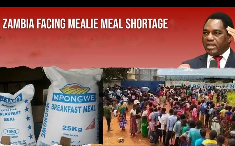 MEDIDAS TOMADAS CONTRA A ESCASSEZ DE MILHO NA ZÂMBIA — MESURES PRISES CONTRE LA PENURIE DE MAÏS EN ZAMBIE — MEASURES TAKEN AGAINST MAIZE SHORTAGE IN ZAMBIA