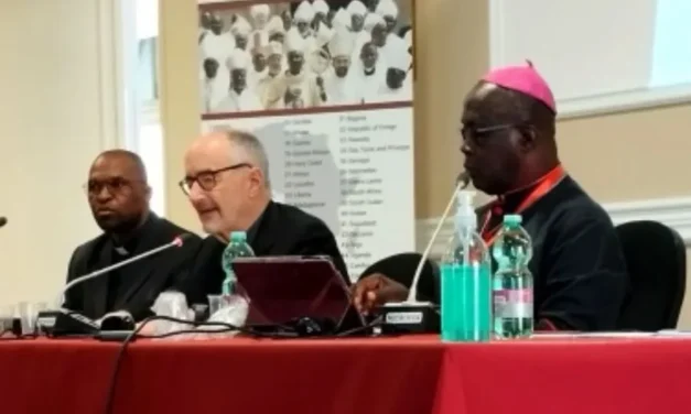 TODOS OS ELOGIOS PARA A CARITAS ÁFRICA —TOUTES LES LOUANGES POUR CARITAS AFRICA —ALL PRAISES FOR THE CARITAS AFRICA