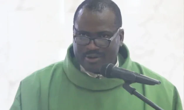 Artificial intelligence: A warning from Nigeria’s national director of social communications — L’intelligence artificielle : Un avertissement du directeur national des communications sociales du Nigeria — Inteligência artificial: um alerta do diretor nacional de comunicações sociais da Nigéria