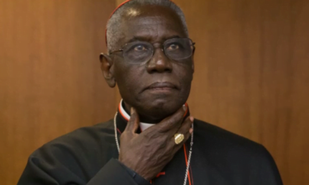 CARDEAL SARAH CONDENA QUALQUER MOVIMENTO PARA A ORDENAÇÃO FEMININA — LE CARDINAL SARAH DENONCE TOUTE DECISION D’ORDINATION FEMININE — CARDINAL SARAH   DECRIES ANY MOVE FOR FEMALE ORDINATION