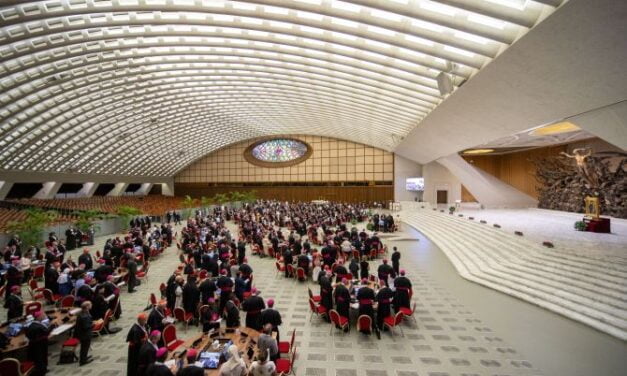 MUITOS FATOS QUE EMANAM DA SINODALIDADE DE 2023 EM ROMA — BEAUCOUP DE FAITS ÉMANANT DE LA SYNODALITÉ DE 2023 À ROME — LOTS OF FACTS EMANATING FROM THE 2023 SYNODALITY IN ROME