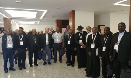 DUBIA SUR LE SYNODE ET A QUOI S’ATTENDRE — DUBIA SOBRE O SÍNODO E O QUE ESPERAR — DUBIA ON THE SYNOD AND WHAT TO EXPECT