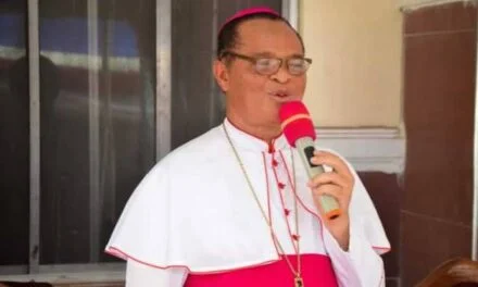 MGR UGORJI S&rsquo;OUVRE SUR LE SYNODE DE LA SYNODALITE — ARCEBISPO UGORJI ABRE O SÍNODO DA SINODALIDADE —- ARCHBISHOP UGORJI OPENS UP ON THE SYNOD OF SYNODALITY