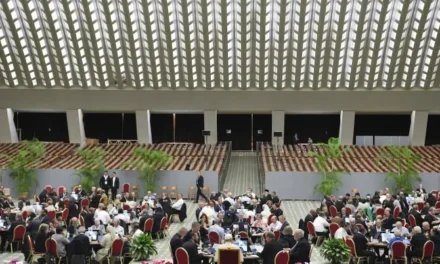 ANTICIPER UN SYNODE « LETTRE AU PEUPLE DE DIEU » 2023 — ANTECIPAR UMA “CARTA AO POVO DE DEUS” SÍNODO 2023 — ANTICIPATING A « LETTER TO THE PEOPLE OF GOD » SYNOD 2023