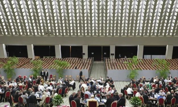 ANTICIPER UN SYNODE « LETTRE AU PEUPLE DE DIEU » 2023 — ANTECIPAR UMA “CARTA AO POVO DE DEUS” SÍNODO 2023 — ANTICIPATING A « LETTER TO THE PEOPLE OF GOD » SYNOD 2023