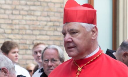O CARDEAL MÜLLER CONDENOU A DECISÃO PAPAL — LE CARDINAL MÜLLER A DENONCE LA DECISION PAPALE — CARDINAL MÜLLER DECRIED THE PAPAL DECISION