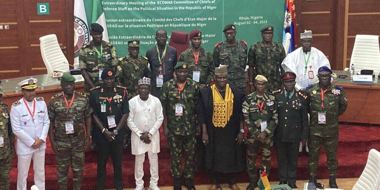 THE CONFUSED POLITICAL SITUATION IN NIGER