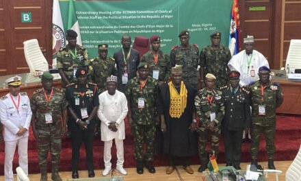 THE CONFUSED POLITICAL SITUATION IN NIGER