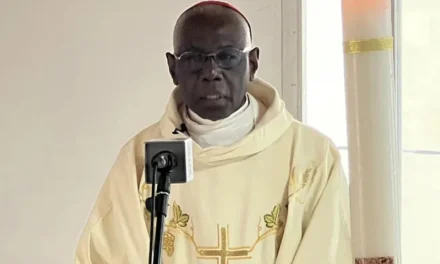 ROBERT CARDINAL SARAH CALLS ON AFRICAN BISHOPS TO DEFEND THEIR FAITH