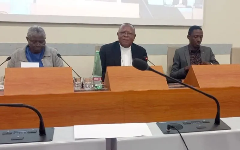 CARDINAL DECRIES EXPLOITATION OF AFRICA’S MINERAL RESOURCES