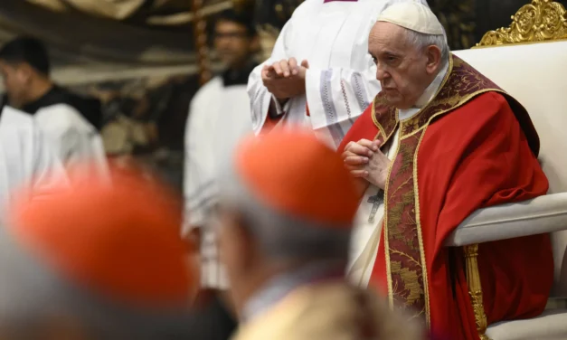 THE HOLY FATHER ADVISED THE NEW CARDINALS