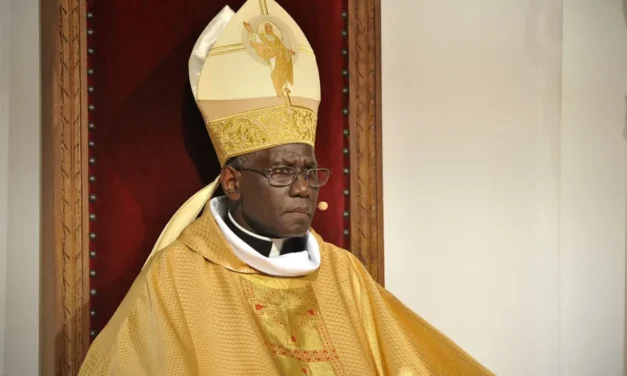 Cardinal Robert Sarah Appointed Papal Envoy for the Jubilee of Sainte-Anne-d’Auray