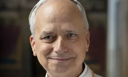 ACTU RELIGIEUSE DU 8 AU 15 NOVEMBRE 2025