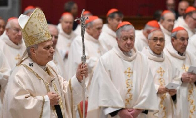 Léon XIV souligne la responsabilité des cardinaux au service du Successeur de Pierre