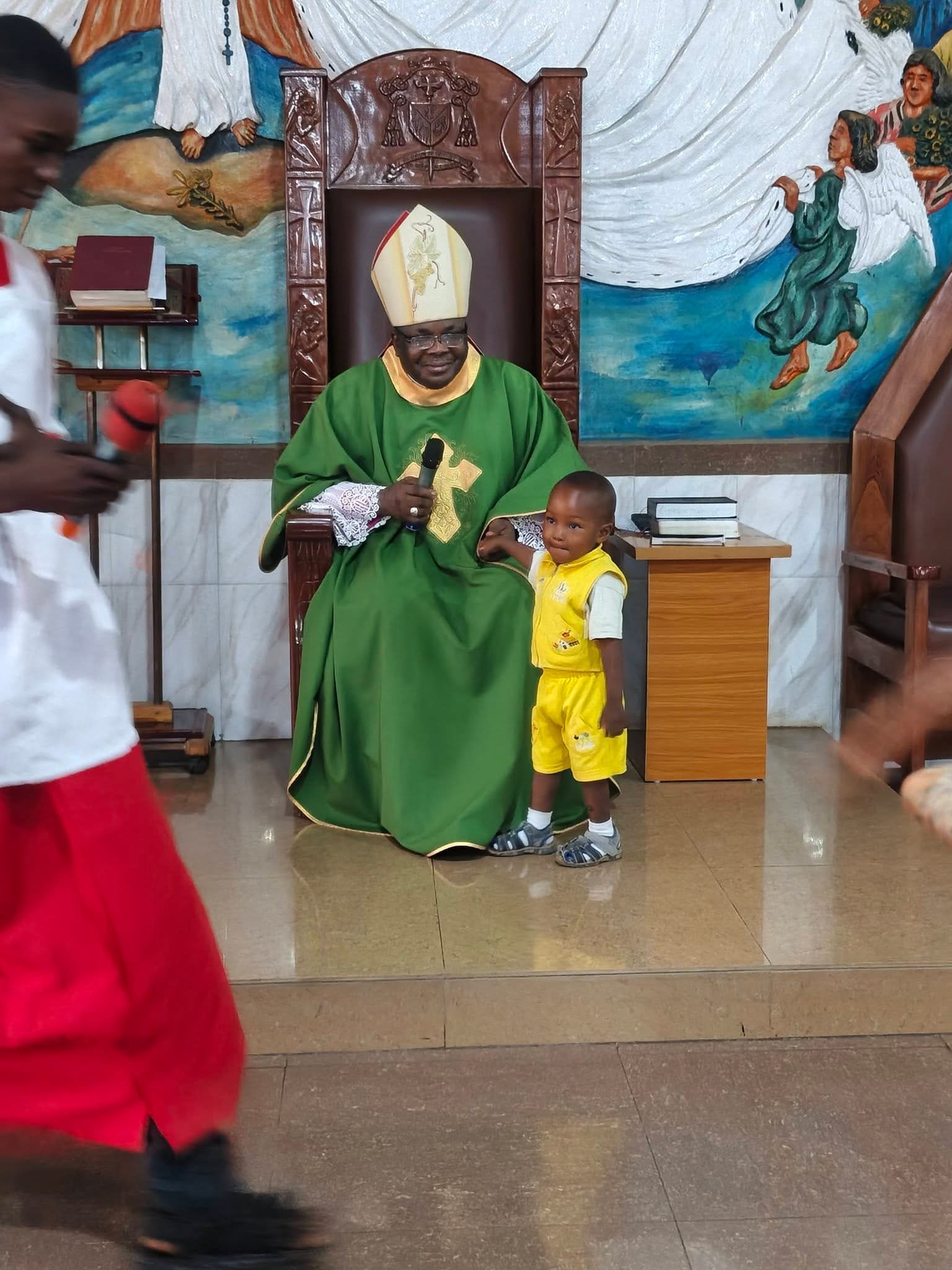 THIS CREATION HAS POWER BEYOND US’: BISHOP BADEJO CHALLENGES CATHOLICS TO CARE FOR GOD’S CREATION